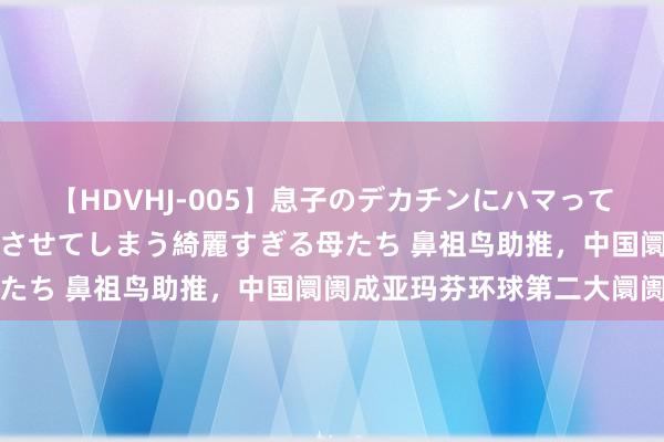 【HDVHJ-005】息子のデカチンにハマってしまい毎日のように挿入させてしまう綺麗すぎる母たち 鼻祖鸟助推，中国阛阓成亚玛芬环球第二大阛阓