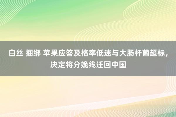 白丝 捆绑 苹果应答及格率低迷与大肠杆菌超标，决定将分娩线迁回中国