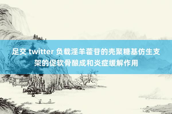 足交 twitter 负载淫羊藿苷的壳聚糖基仿生支架的促软骨酿成和炎症缓解作用