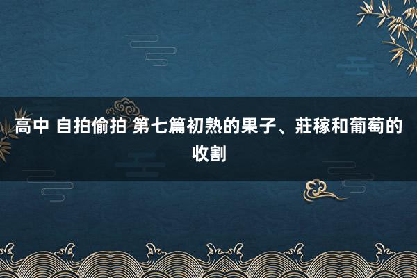 高中 自拍偷拍 第七篇　初熟的果子、莊稼和葡萄的收割