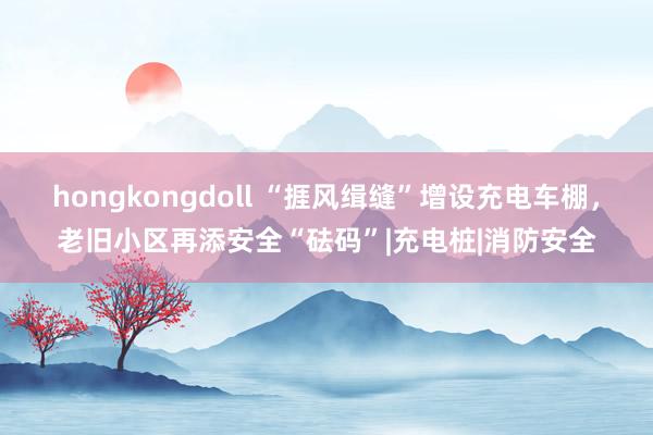 hongkongdoll “捱风缉缝”增设充电车棚，老旧小区再添安全“砝码”|充电桩|消防安全