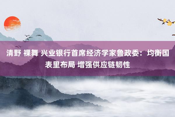 清野 裸舞 兴业银行首席经济学家鲁政委：均衡国表里布局 增强供应链韧性