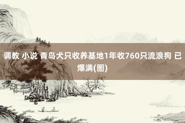 调教 小说 青岛犬只收养基地1年收760只流浪狗 已爆满(图)