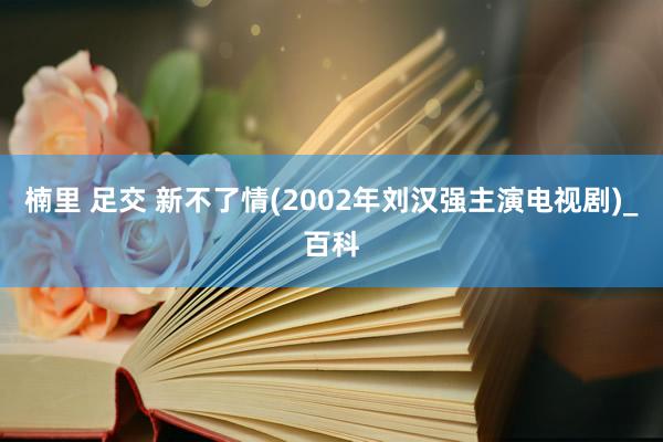 楠里 足交 新不了情(2002年刘汉强主演电视剧)_百科