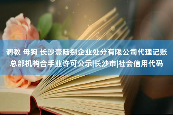 调教 母狗 长沙壹陆捌企业处分有限公司代理记账总部机构合手业许可公示|长沙市|社会信用代码