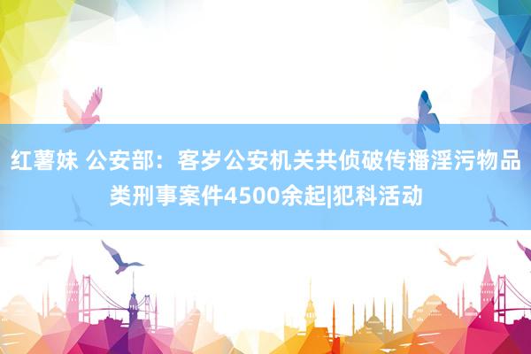 红薯妹 公安部：客岁公安机关共侦破传播淫污物品类刑事案件4500余起|犯科活动