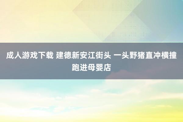 成人游戏下载 建德新安江街头 一头野猪直冲横撞跑进母婴店