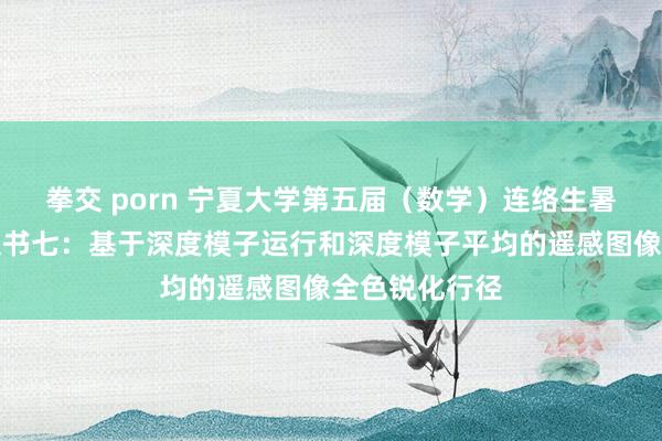 拳交 porn 宁夏大学第五届（数学）连络生暑期学校系列文书七：基于深度模子运行和深度模子平均的遥感图像全色锐化行径