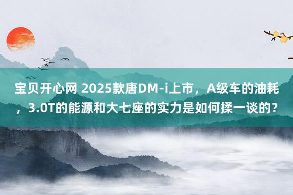 宝贝开心网 2025款唐DM-i上市，A级车的油耗，3.0T的能源和大七座的实力是如何揉一谈的？