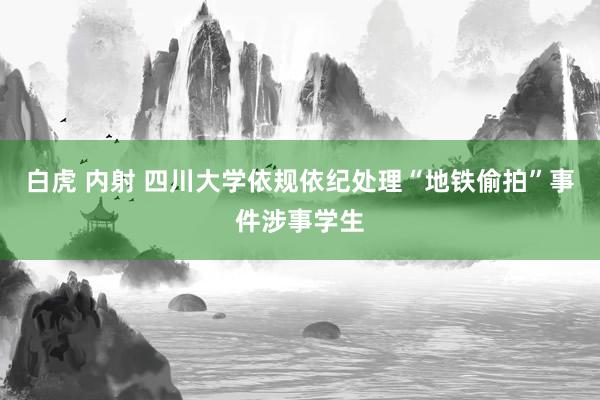 白虎 内射 四川大学依规依纪处理“地铁偷拍”事件涉事学生